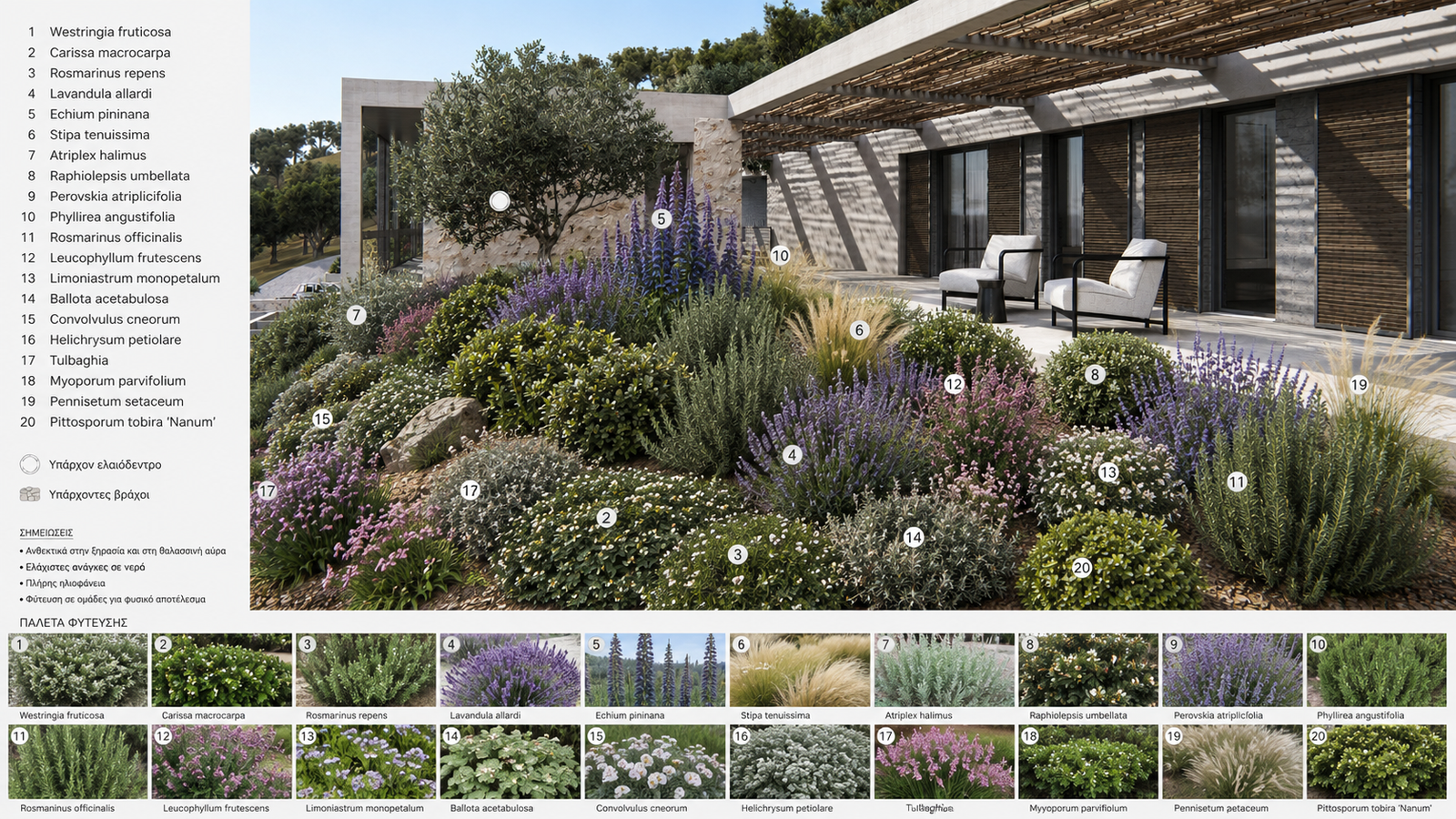 planting palette
